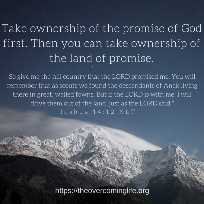 Take ownership of the promise of God first. Then you can take ownership of the land of promise.